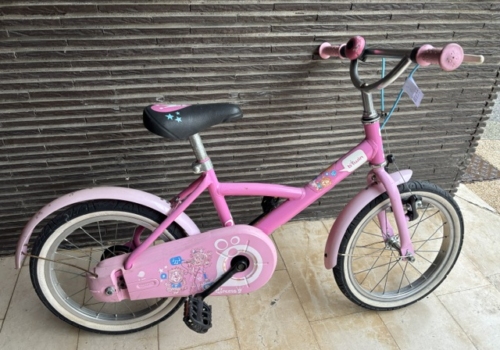 BTWIN 16' princess rose