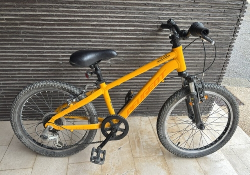 Vélo PEUGEOT 20'